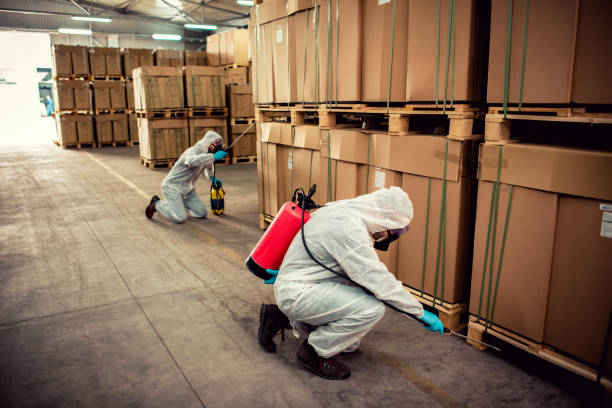 Massanetta Springs, VA Pest Control Company