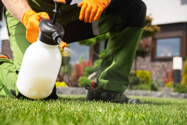 Best Ant Control Services  in Massanetta Springs, VA