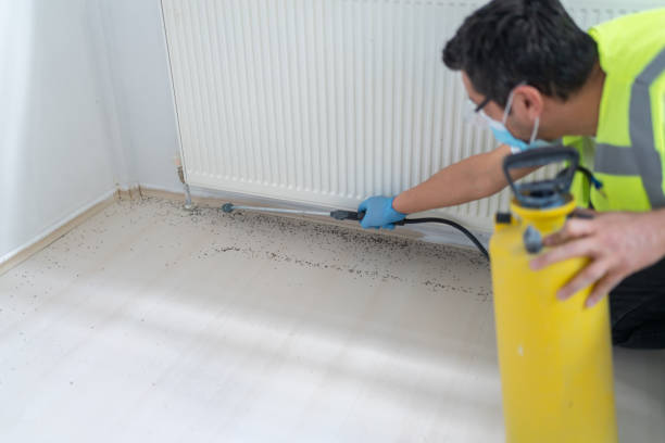 Best Ant Control Services  in Massanetta Springs, VA