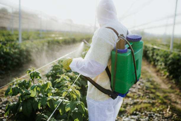 Best Bed Bug Extermination  in Massanetta Springs, VA